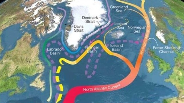 maritime-executive.com