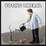 Voting_Liberal.jpg