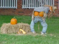 halloweenmoon copy.jpg