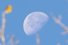Moon-2022-10-15-IMG_3830S.jpg