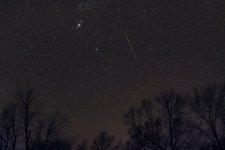 Meteor-2023-11-17-IMG_3145S.jpg