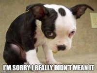 sorry1.jpg