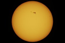 Sun-2024-02-24-IMG_4572S.jpg