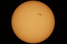 Sun-2024-02-25-IMG_4593S.jpg