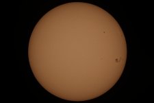 Sun-2024-03-28-IMG_3750.jpg