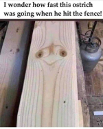 1712497992061.png