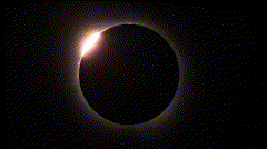 SolarEclipse-2024-04-08-Totality.25x.GIF
