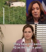 kamala404.jpg
