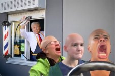 democrats213.jpg