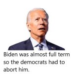 biden310.jpg