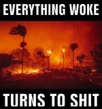 fires28.jpg