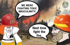 fires39.jpg