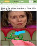 pelosi2.jpg