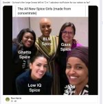 democrats66.jpg
