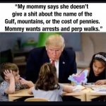 trump18.jpeg