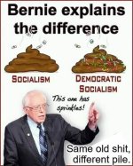 democratic socialism1.jpg
