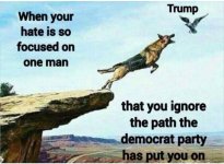 democrats127.jpg