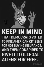democrats132.jpg