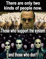 government48.jpg