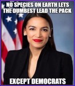democrats142.jpg