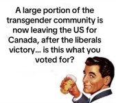 trans80.jpg