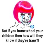 trans83.jpg