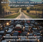 1748178534796.png
