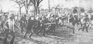 shah-1-2.jpg