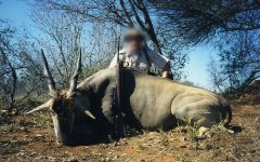 eland-2.jpg