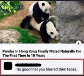 1755704816454.png