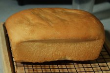 Bread-2025-08-30-IMG_2155S.jpg Bread-2025-08-30-IMG_2155S.jpg