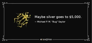 pmbug saylor.webp