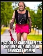 democrats195.jpg