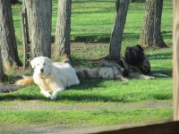 IMG_1048.JPG