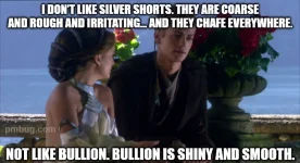 annakin silver shorts.webp