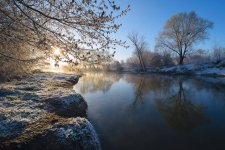 Winter Morning.jpg