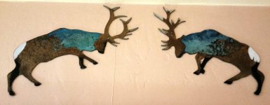 2018-05-03 09.25.17.jpg