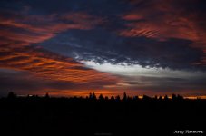 Friday Sunrise West Seattle.jpg