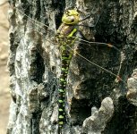 2018-09-15 10.36.51.jpg