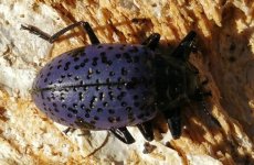 2018-09-09 10.59.33.jpg