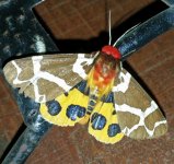 2017-08-17 23.42.38.jpg