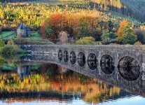 A Festival of Colours.jpg