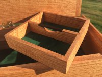 White oak4.jpg White oak4.jpg