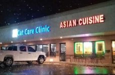Asian Cuisine.jpg