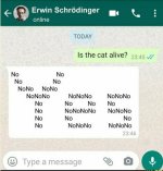 Schrodingers Cat.JPG