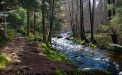 streams and rivers.jpg