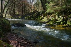 streams & rivers.jpg