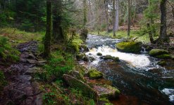 streams & rivers 2.jpg