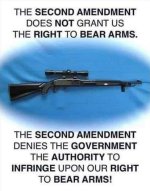 2nd Amendment.jpg
