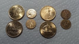 amer gold coins.jpg